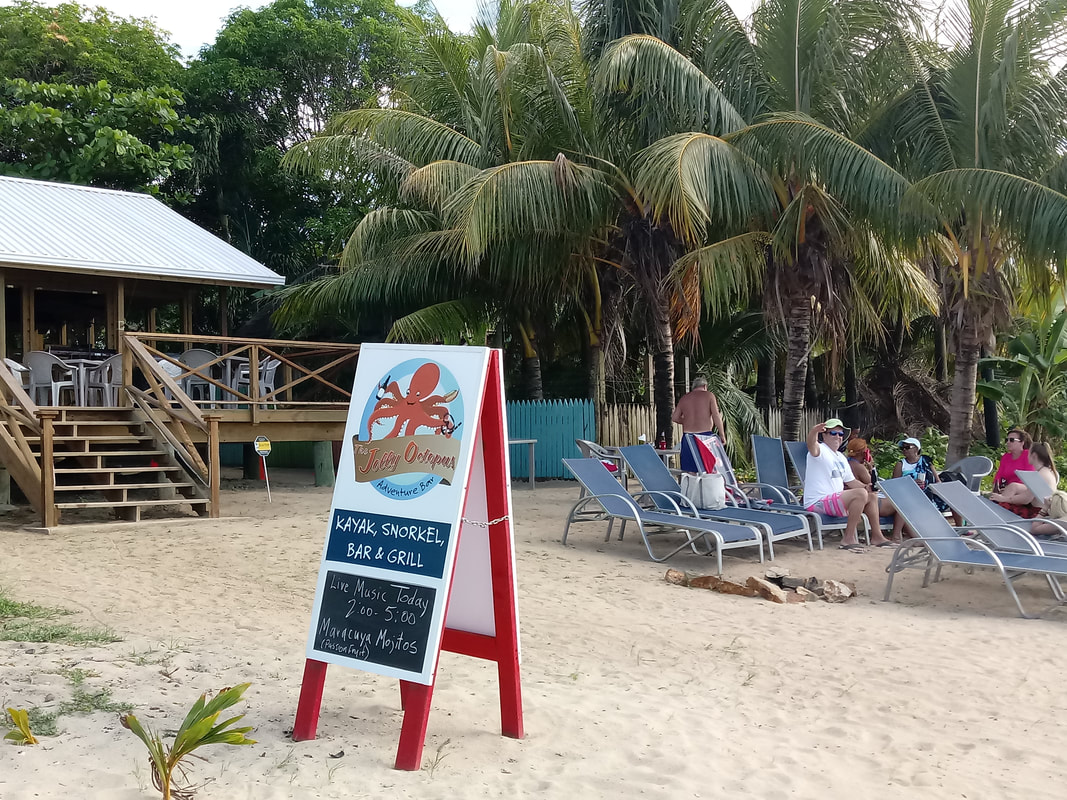 What's the Deal With All the Power Outages? - We LOVE Roatan Blog!!